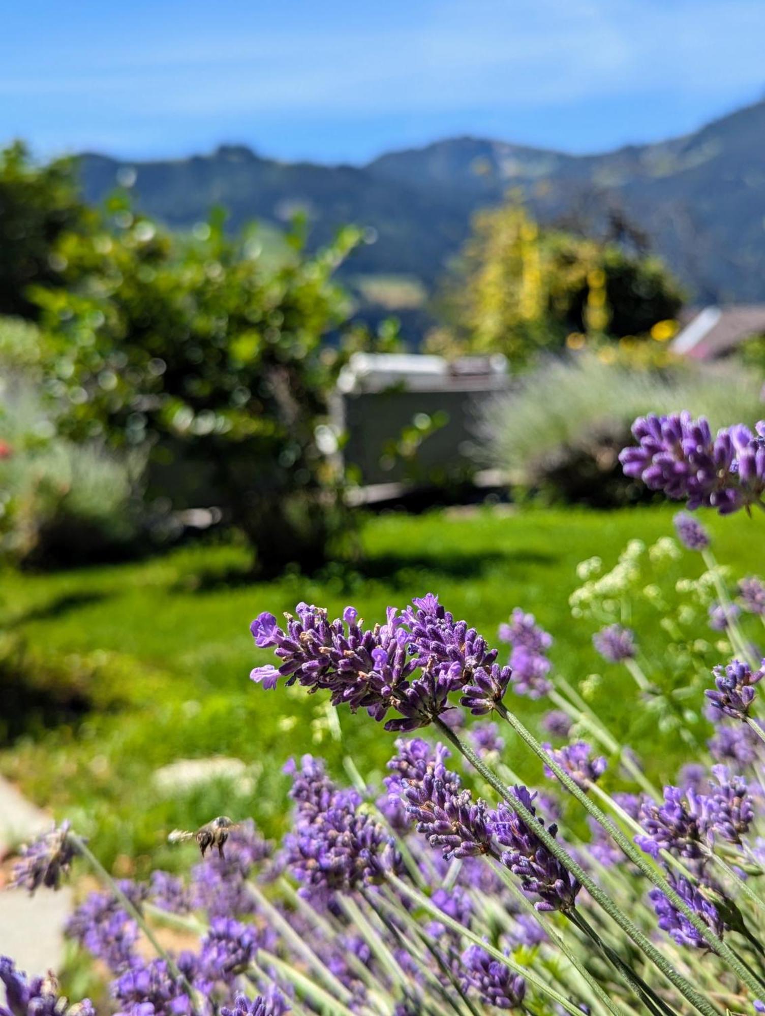 Swiss Mountain-Valley View Lodge Erlenbach im Simmental Bagian luar foto