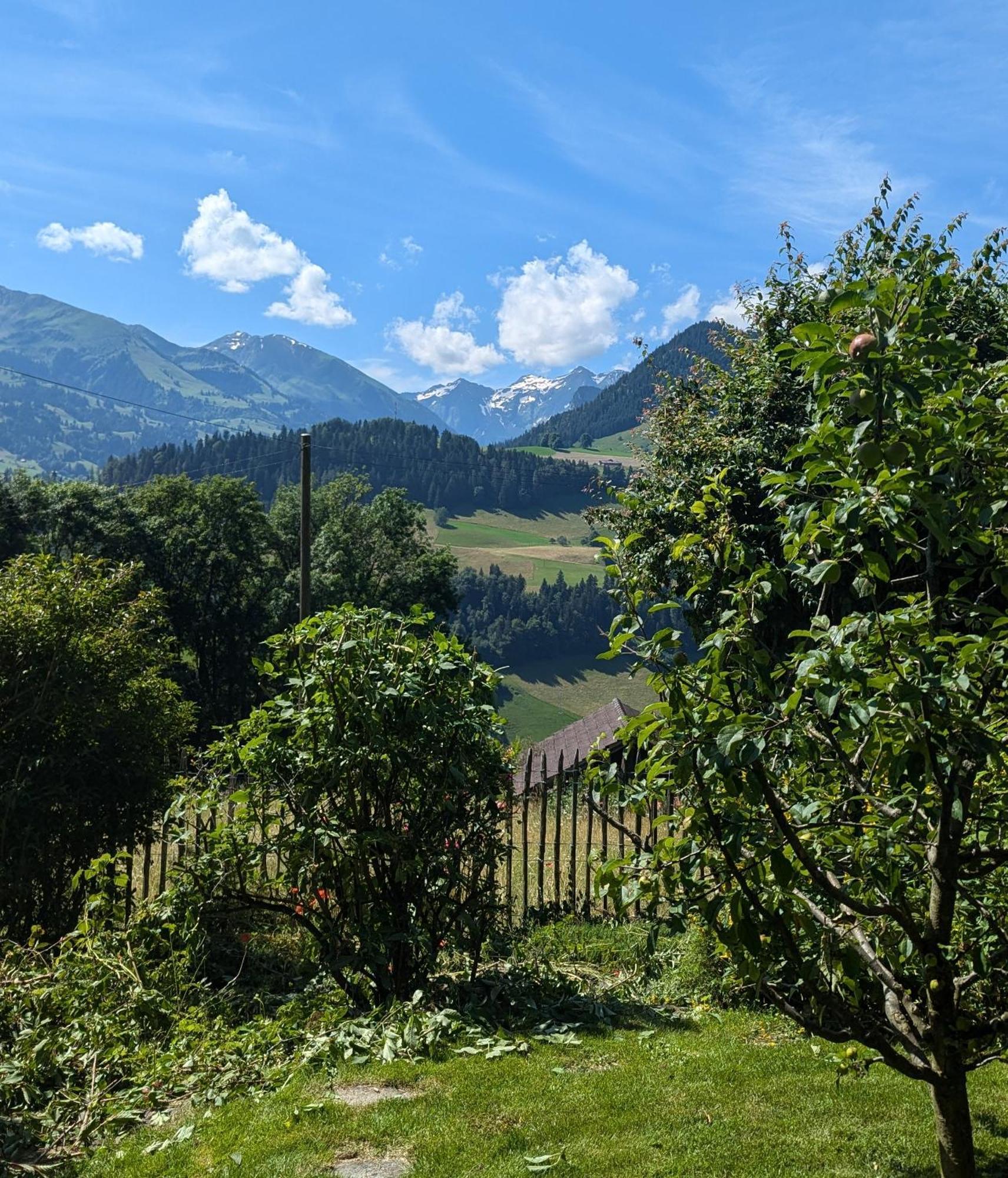Swiss Mountain-Valley View Lodge Erlenbach im Simmental Bagian luar foto