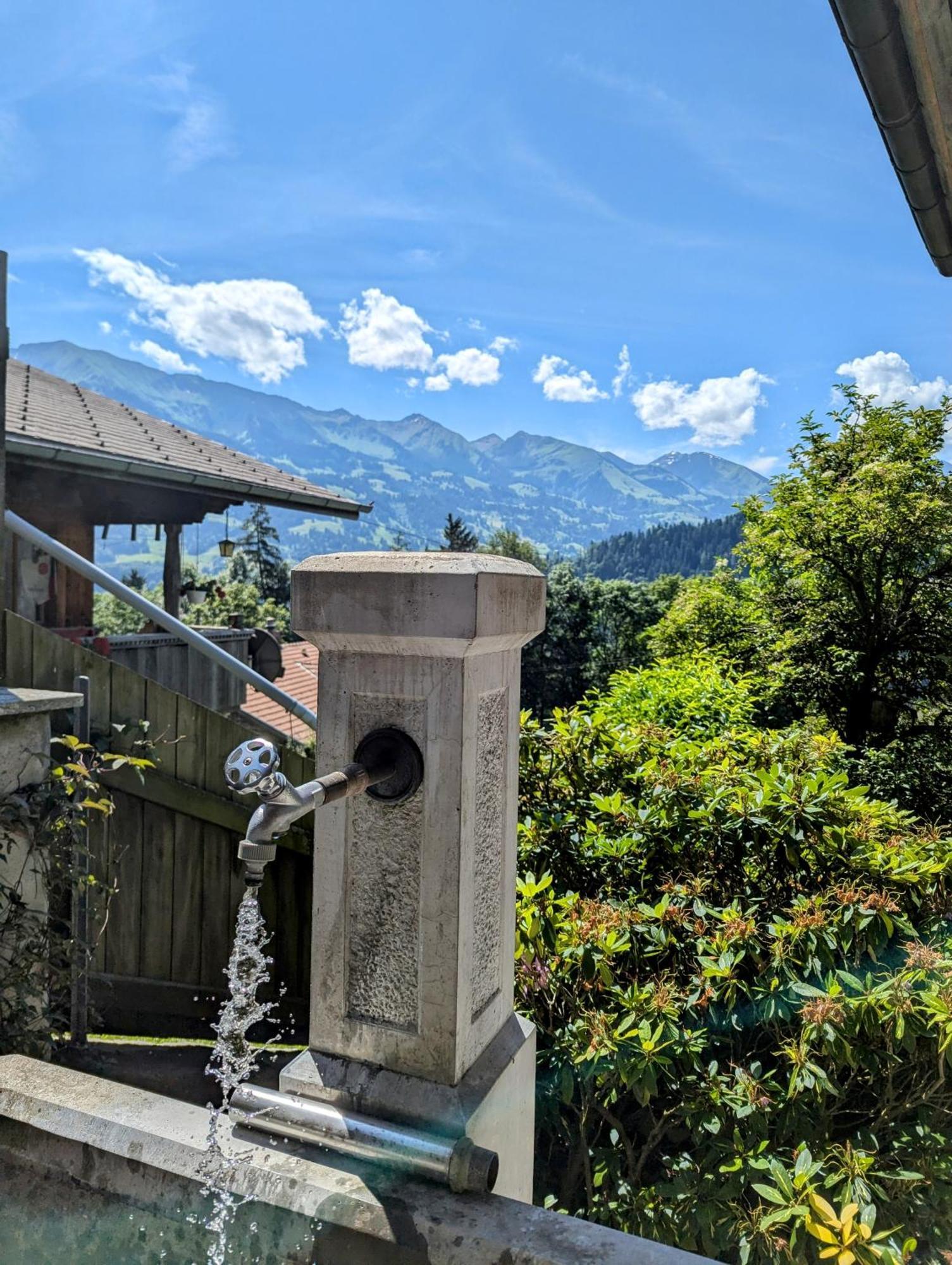 Swiss Mountain-Valley View Lodge Erlenbach im Simmental Bagian luar foto