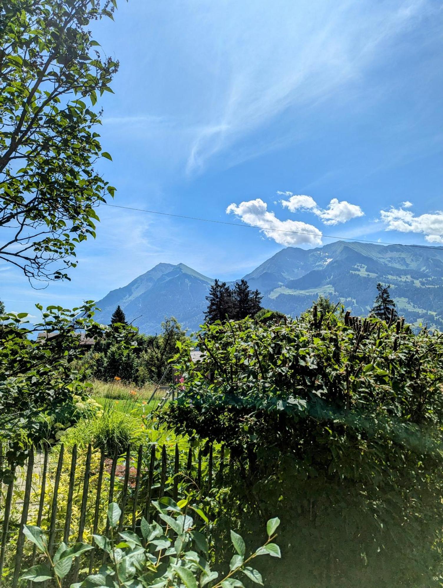 Swiss Mountain-Valley View Lodge Erlenbach im Simmental Bagian luar foto