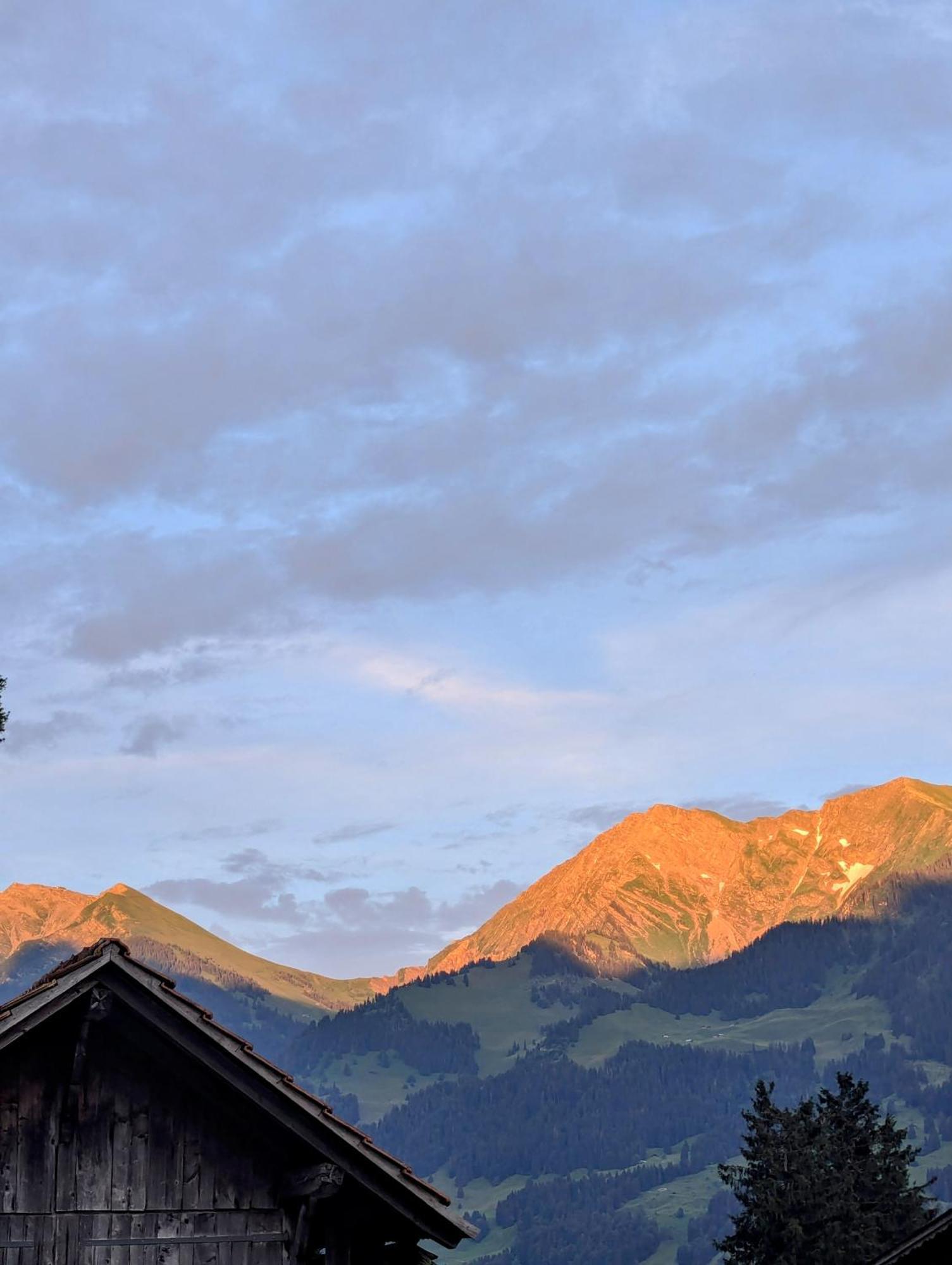 Swiss Mountain-Valley View Lodge Erlenbach im Simmental Bagian luar foto