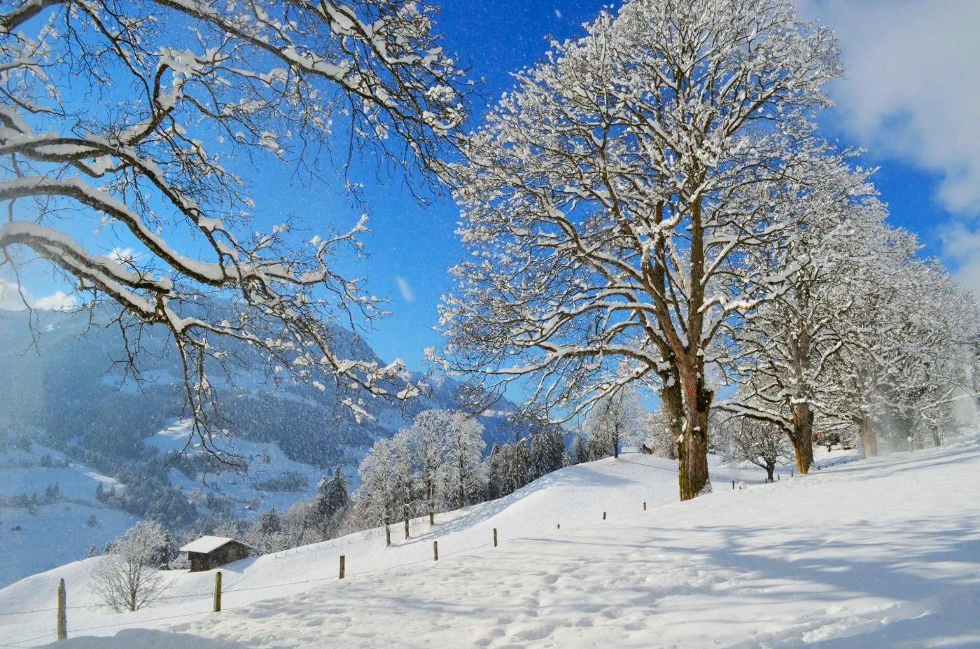 Swiss Mountain-Valley View Lodge Erlenbach im Simmental Bagian luar foto