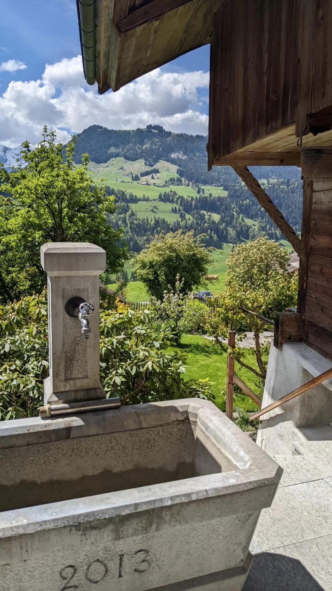 Swiss Mountain-Valley View Lodge Erlenbach im Simmental Bagian luar foto