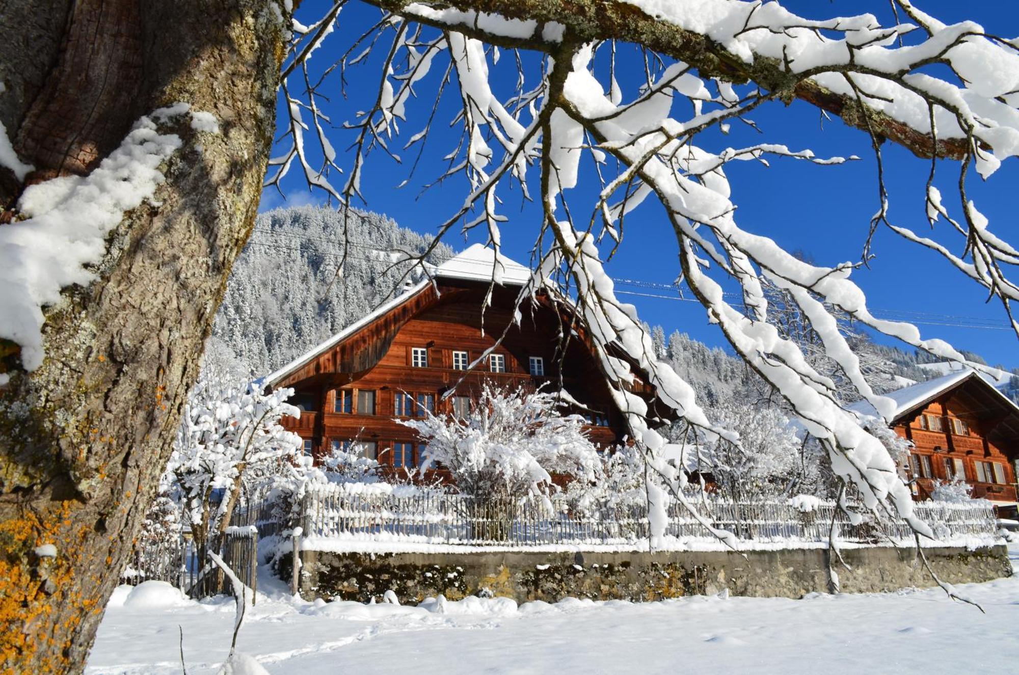 Swiss Mountain-Valley View Lodge Erlenbach im Simmental Bagian luar foto
