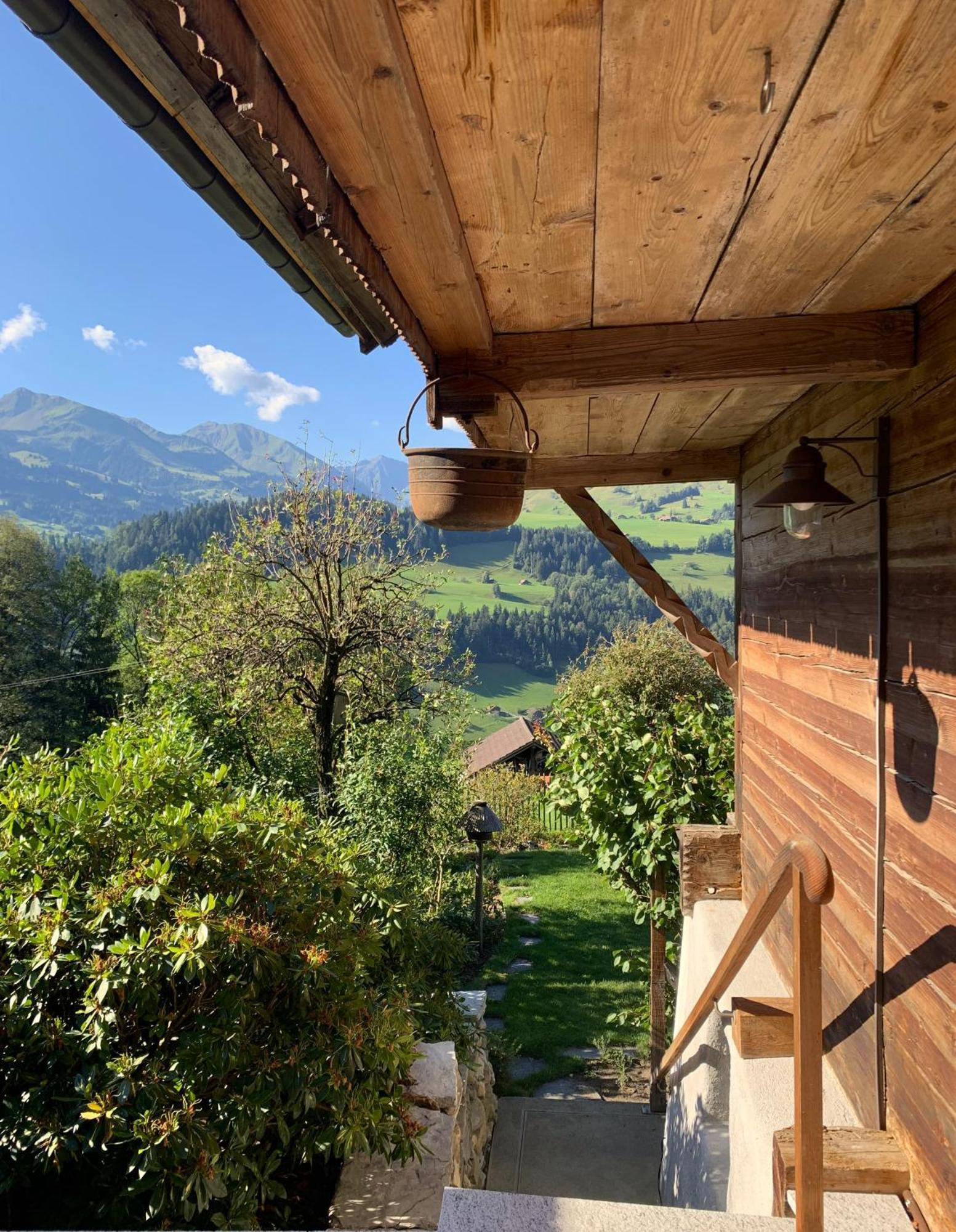 Swiss Mountain-Valley View Lodge Erlenbach im Simmental Bagian luar foto
